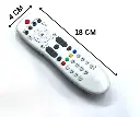V3MAST0000023-2.webp