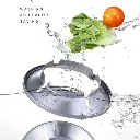 V3MAST0000402-12.webp